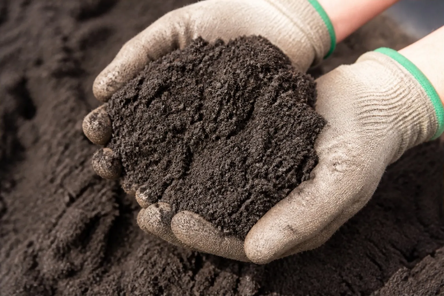 Gloved hands holding fine, crumbly screened topsoil